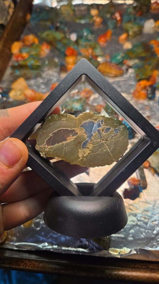 Oregon Thunderegg Mineral Specimen Display