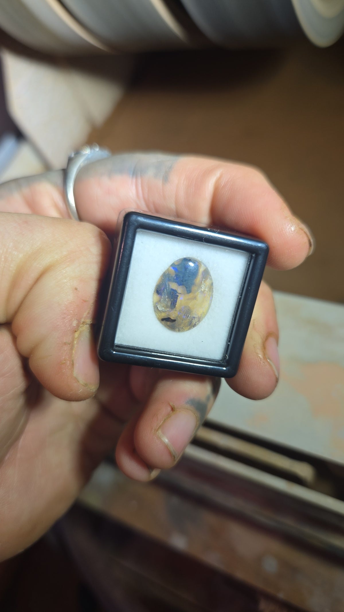 Lightning Ridge Fossil Opal Cabochon