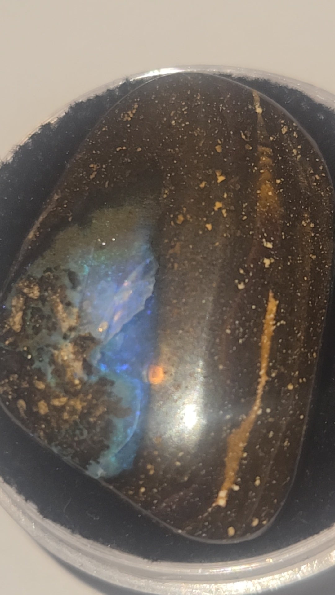Boulder Opal Green Blue Cabochon