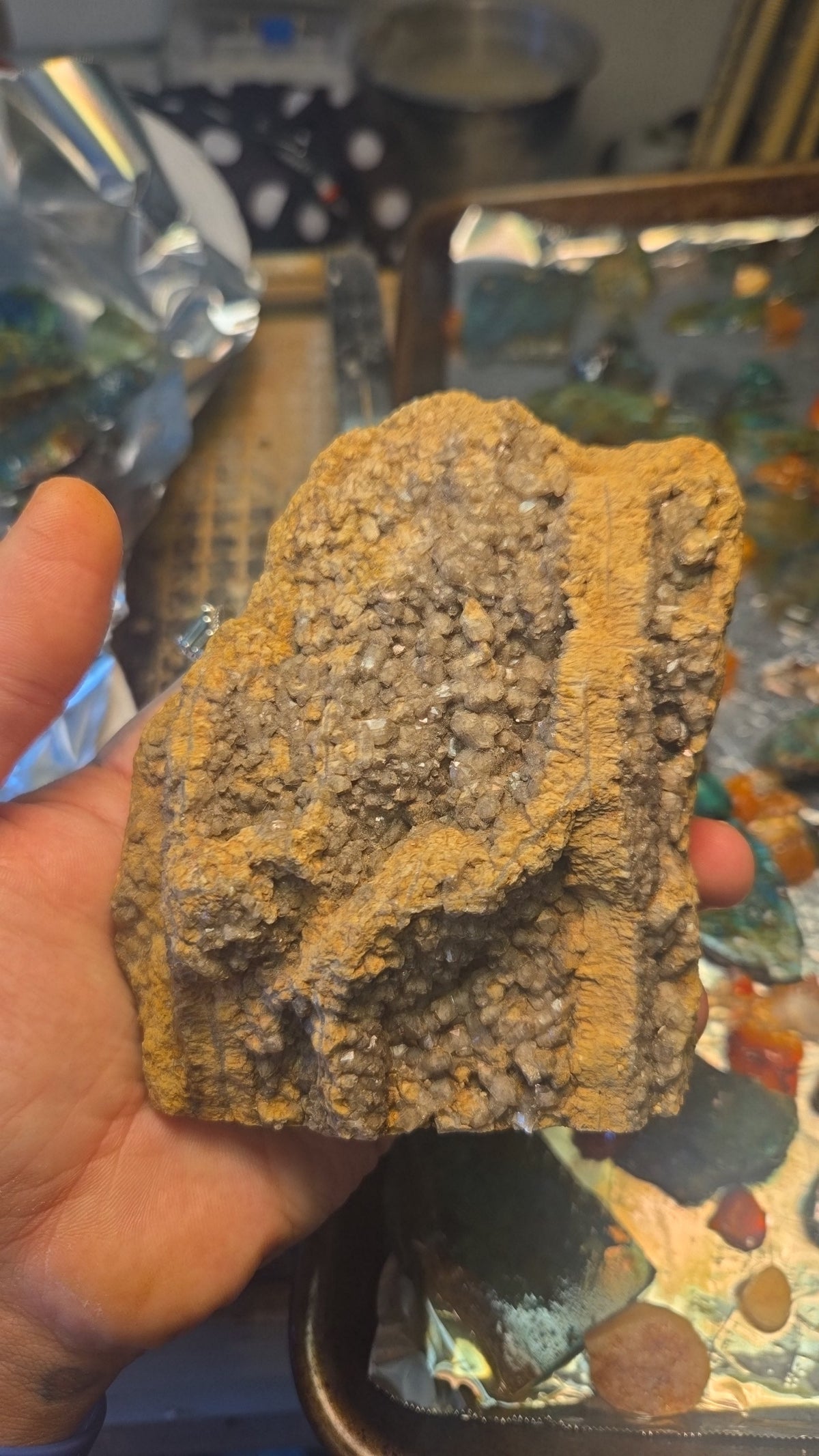 Madera fosilizada con racimos de cuarzo