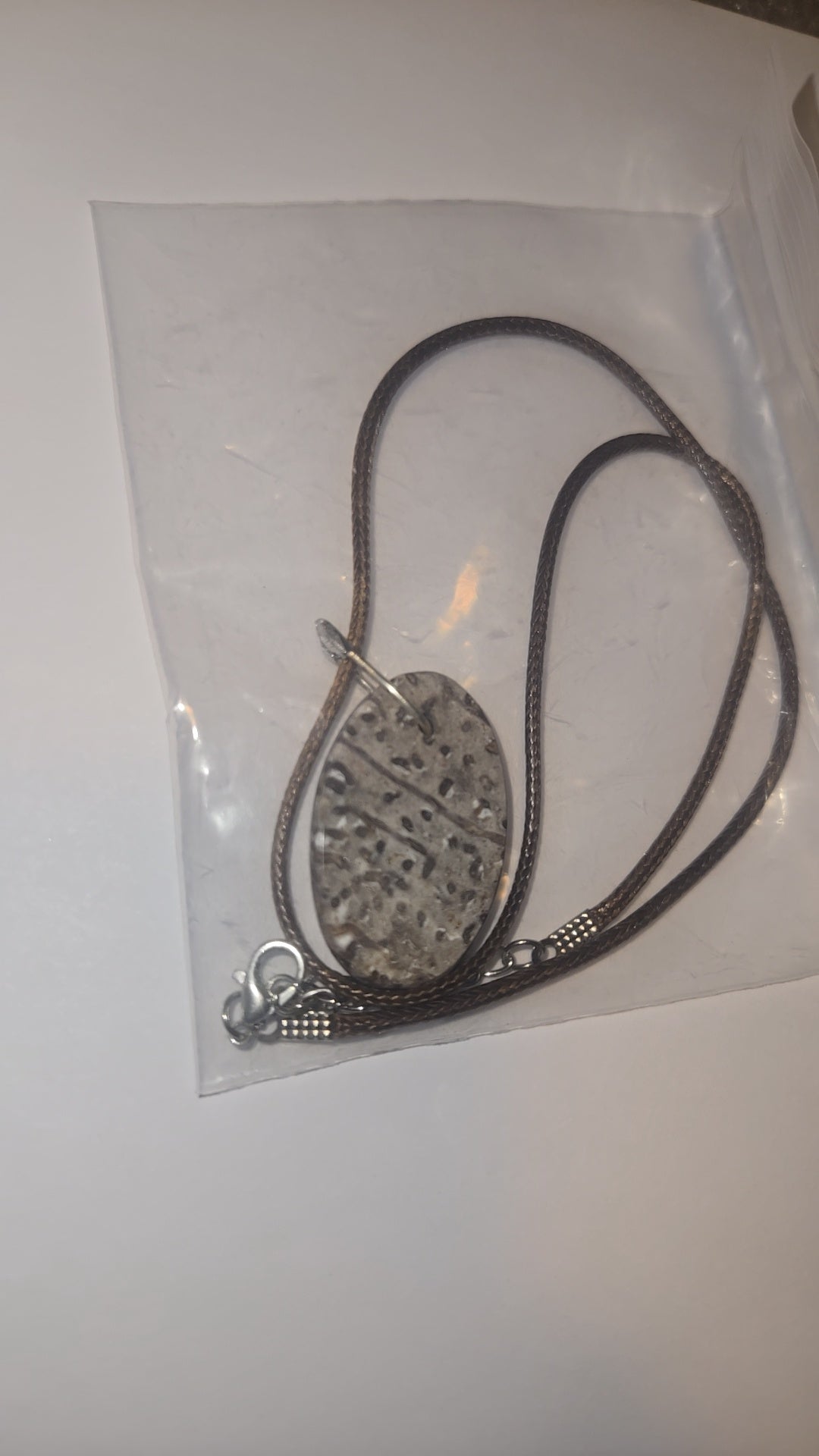 Fossilized Palm Wood Necklace