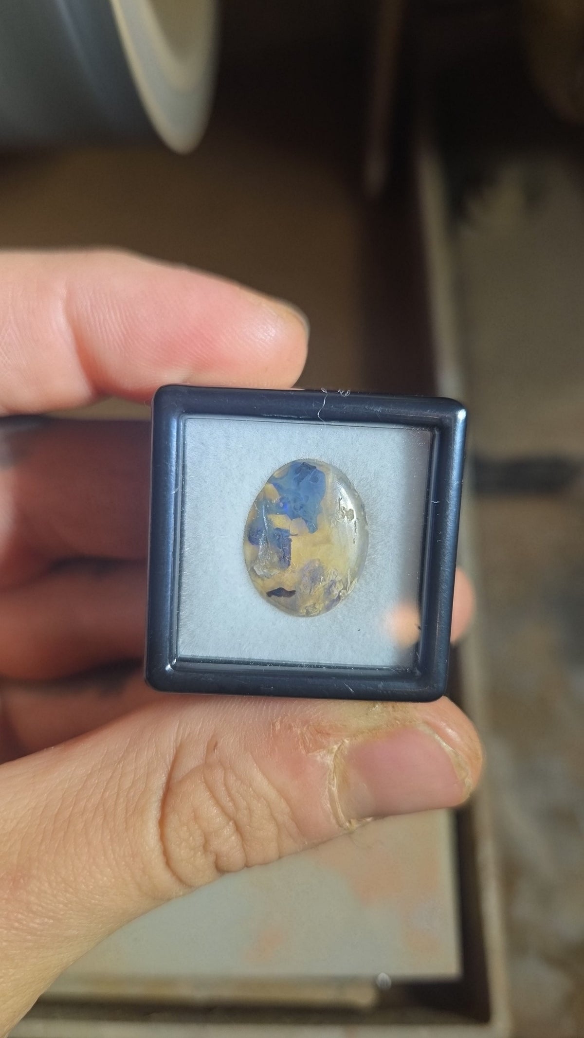 Lightning Ridge Fossil Opal Cabochon