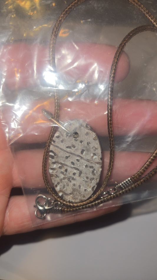 Fossilized Palm Wood Necklace