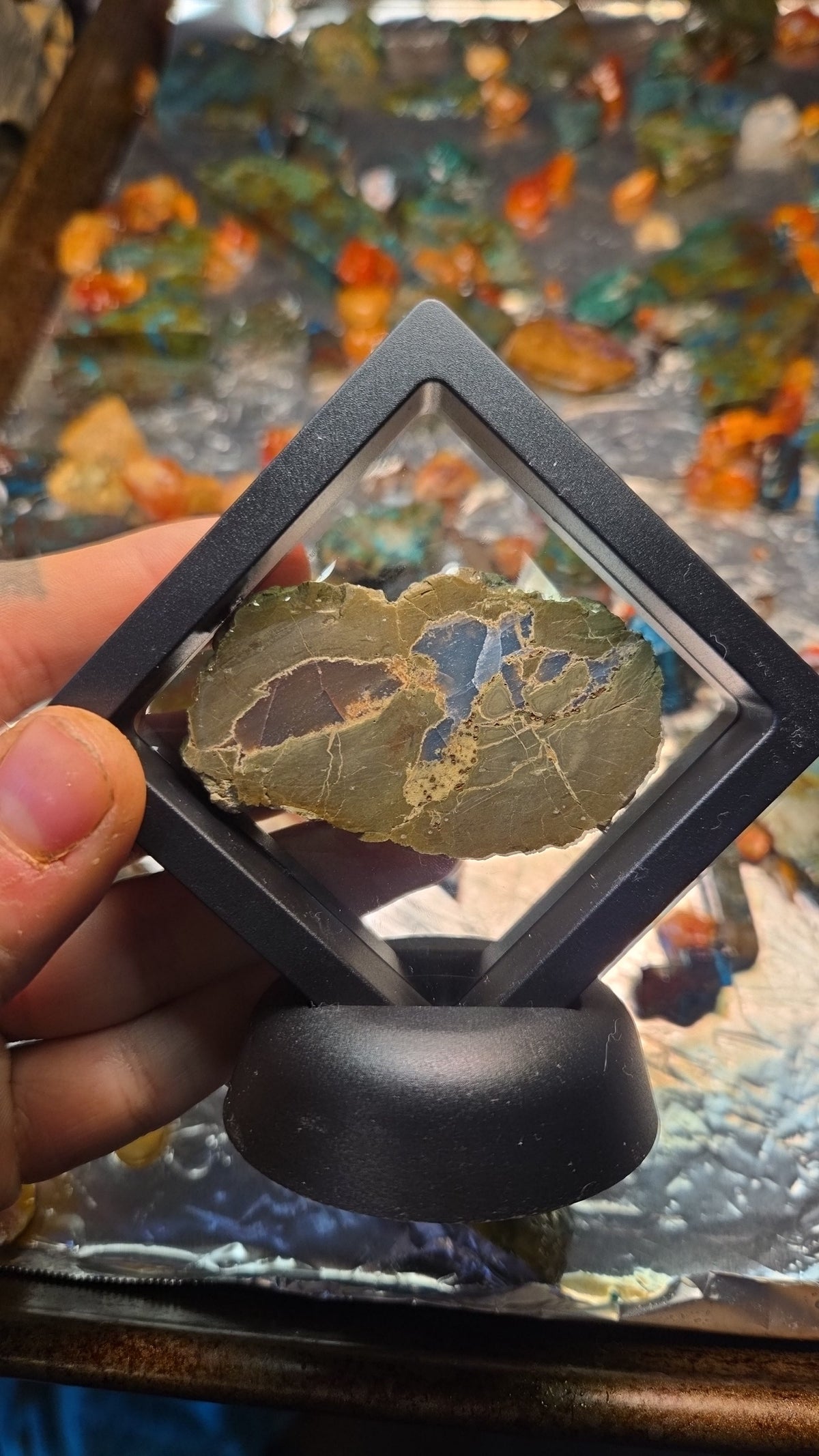 Oregon Thunderegg Mineral Specimen Display