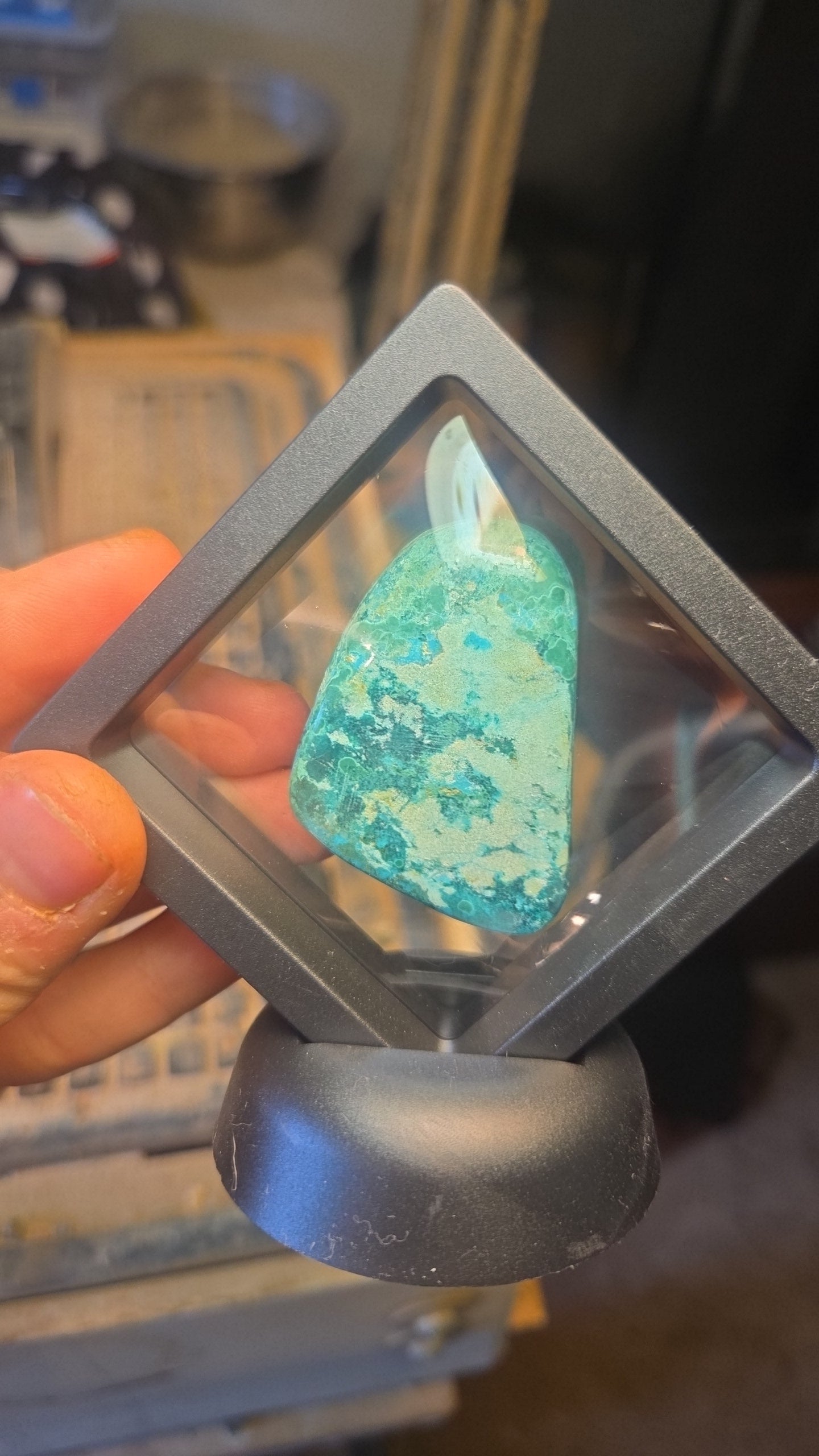 California Turquoise Cabochon Free-Form for Bracelet