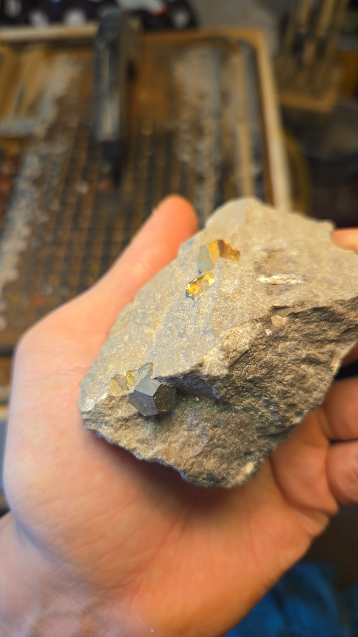 Pyrite in Matrix Stone Mineral Specimen