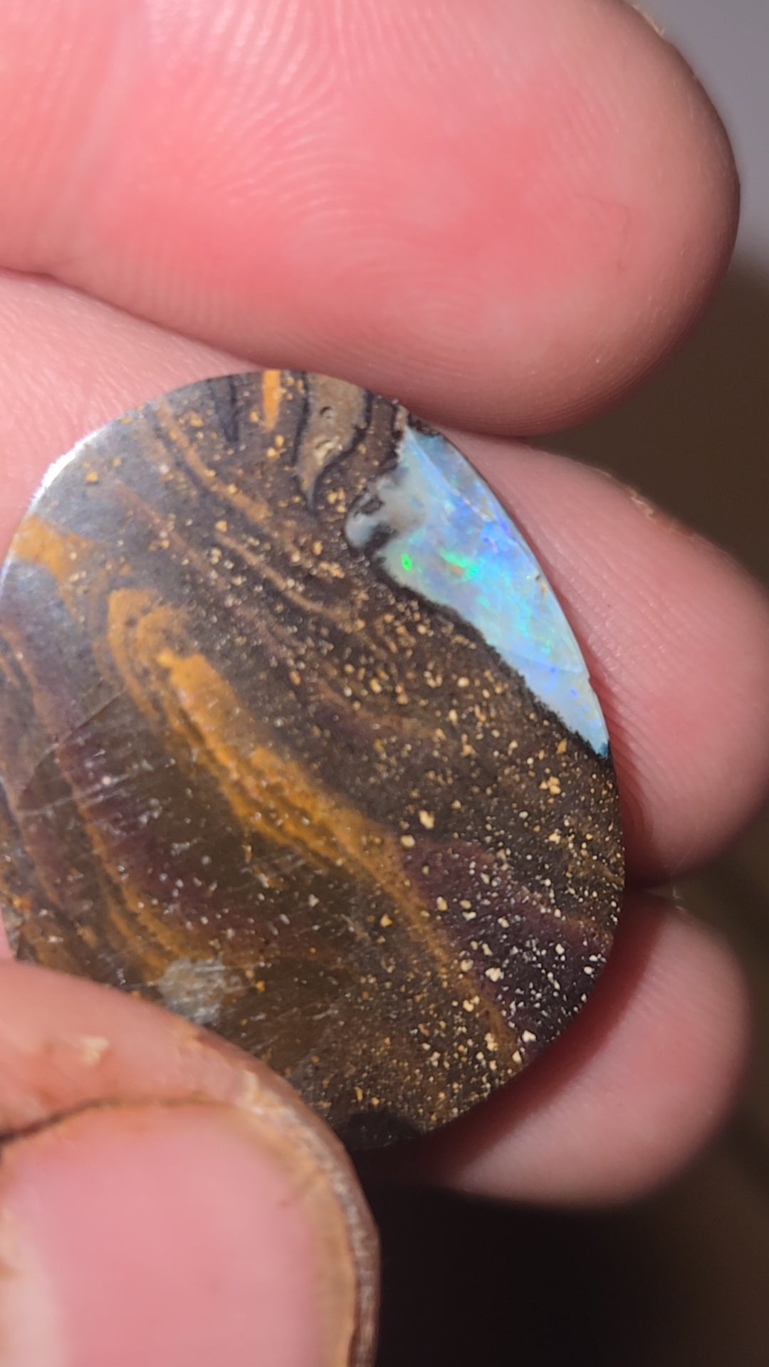 Australian Boulder Opal Cabochon Green and Blue