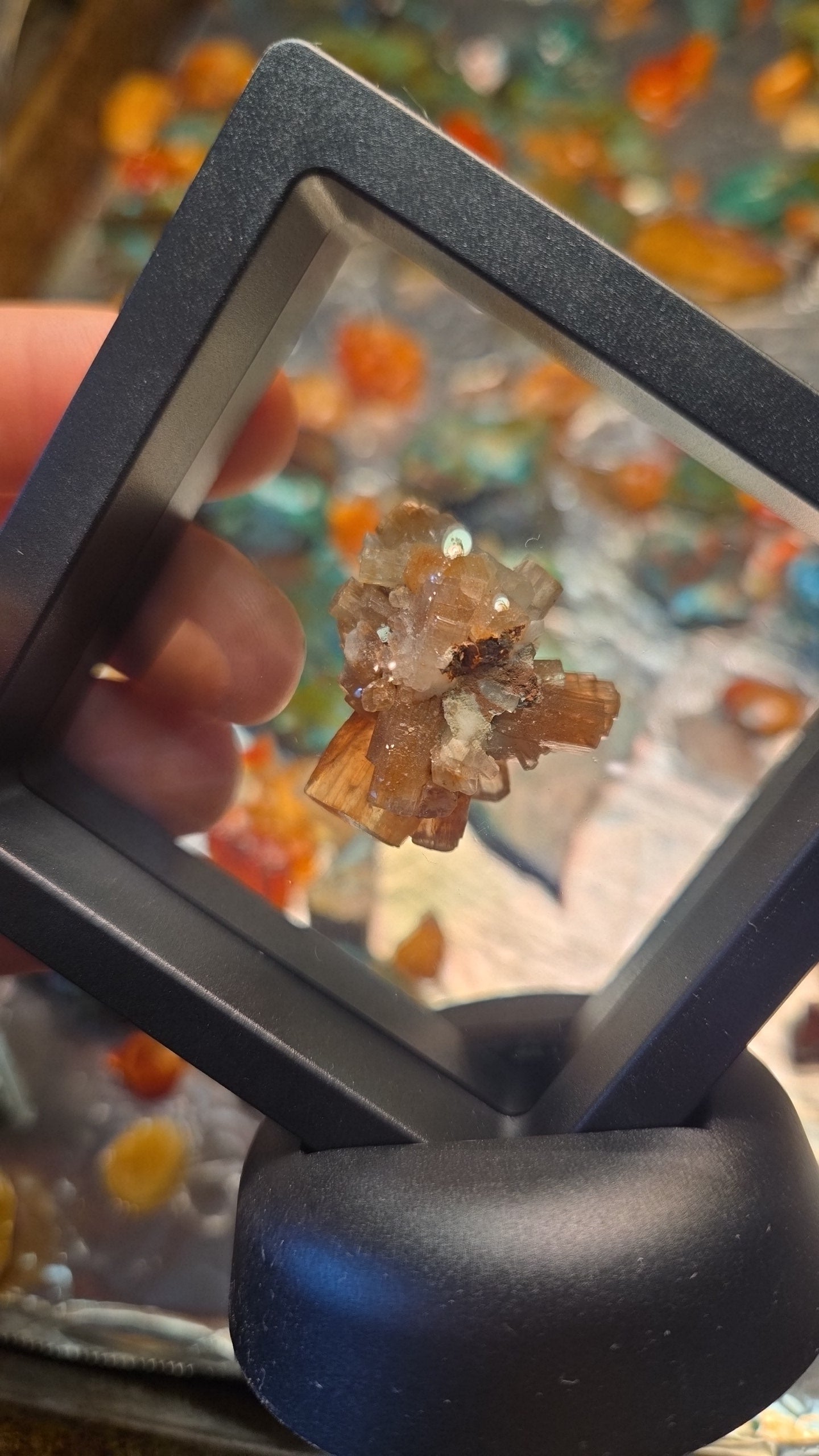 Aragonite Crystal Mineral Specimen Display