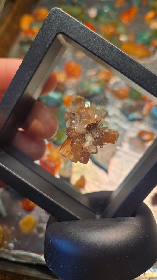 Aragonite Crystal Mineral Specimen Display