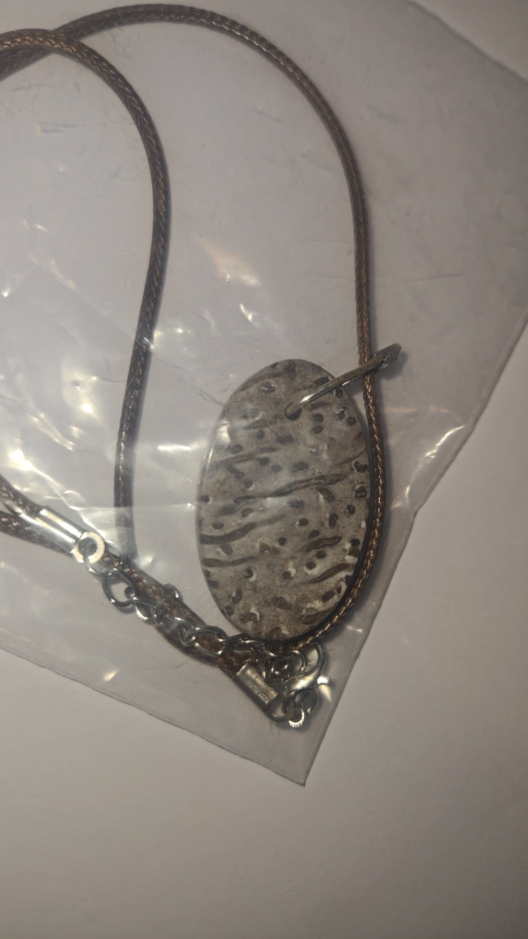 Fossilized Palm Wood Necklace