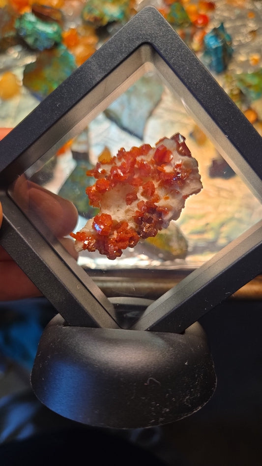 Vanadinite Crystal Cluster Specimen Display
