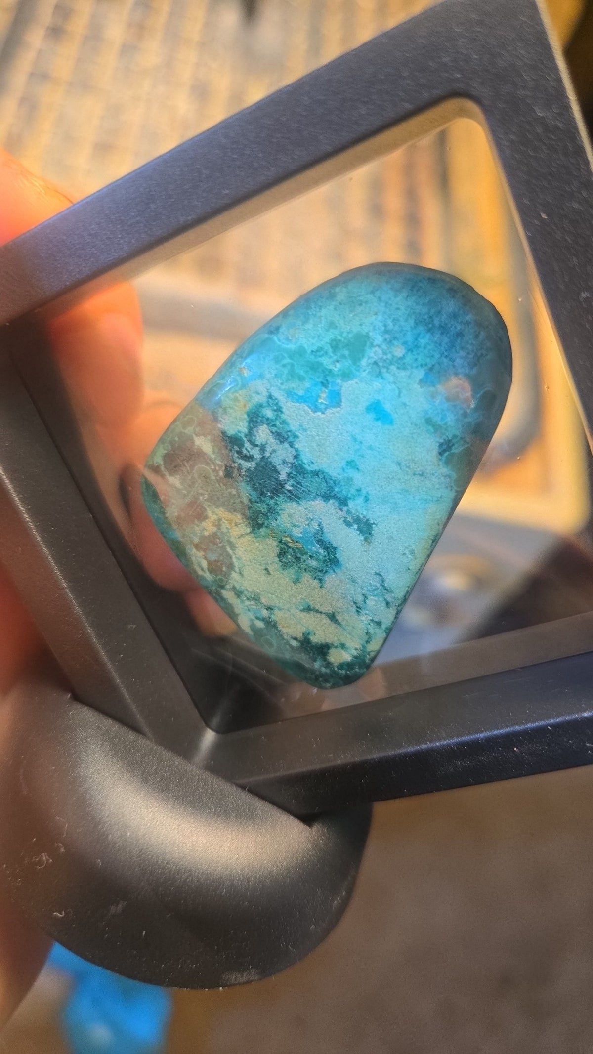 California Turquoise Cabochon Free-Form for Bracelet