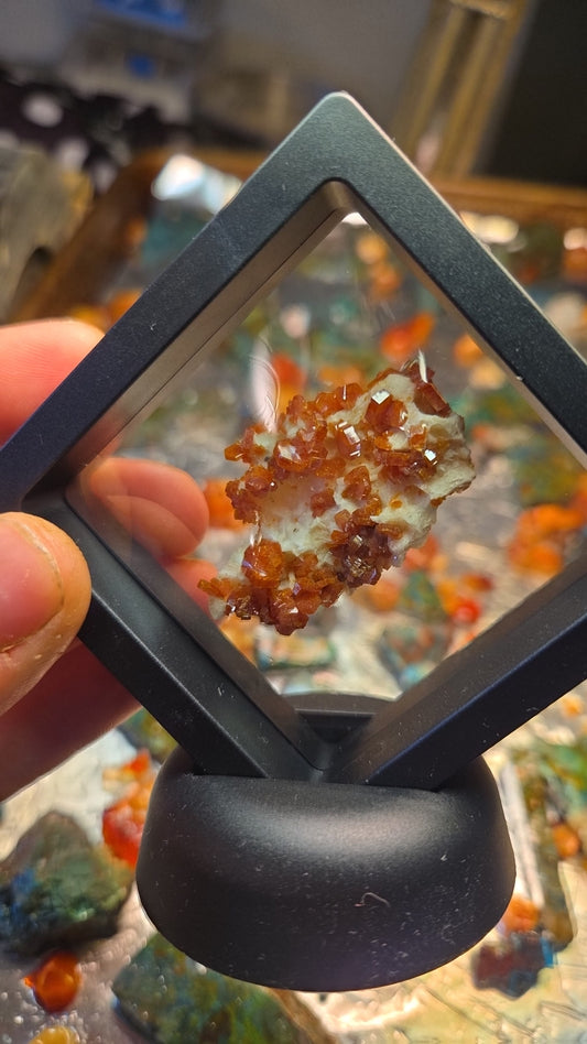 Vanadinite Crystal Cluster Specimen Display