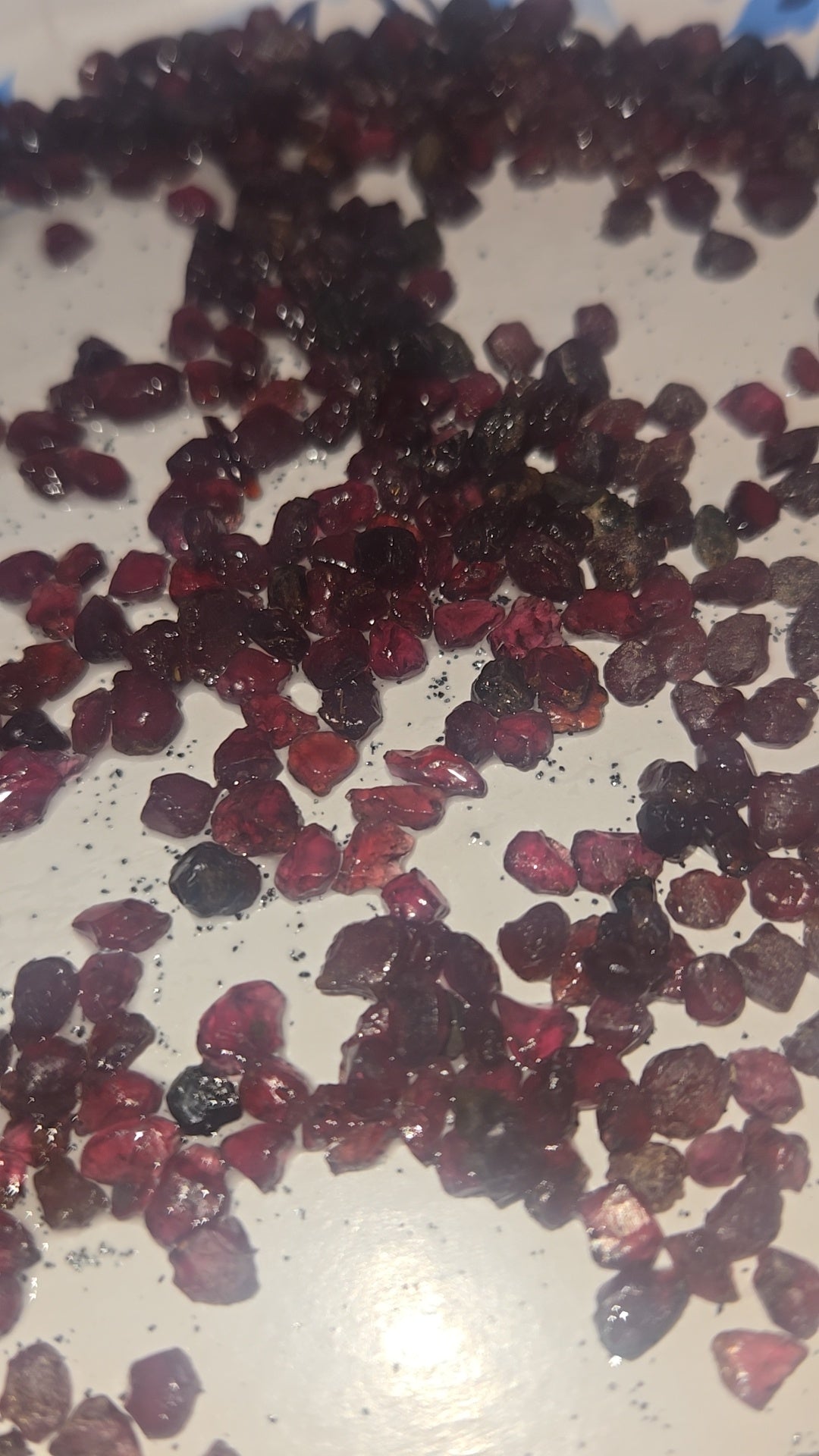 Raw Garnet 100 Carats