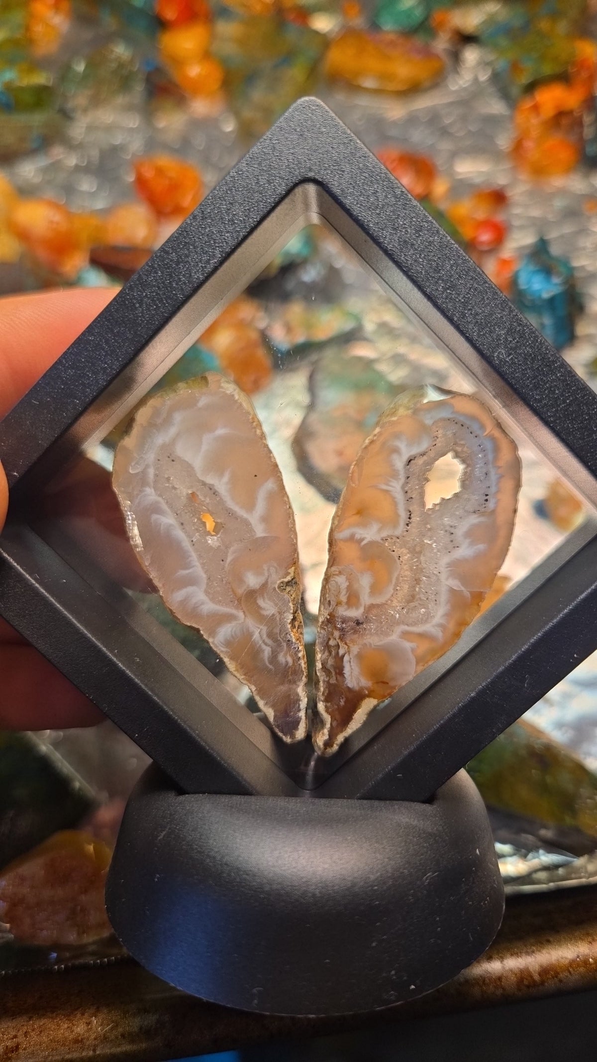 Agate Mineral Specimen Display