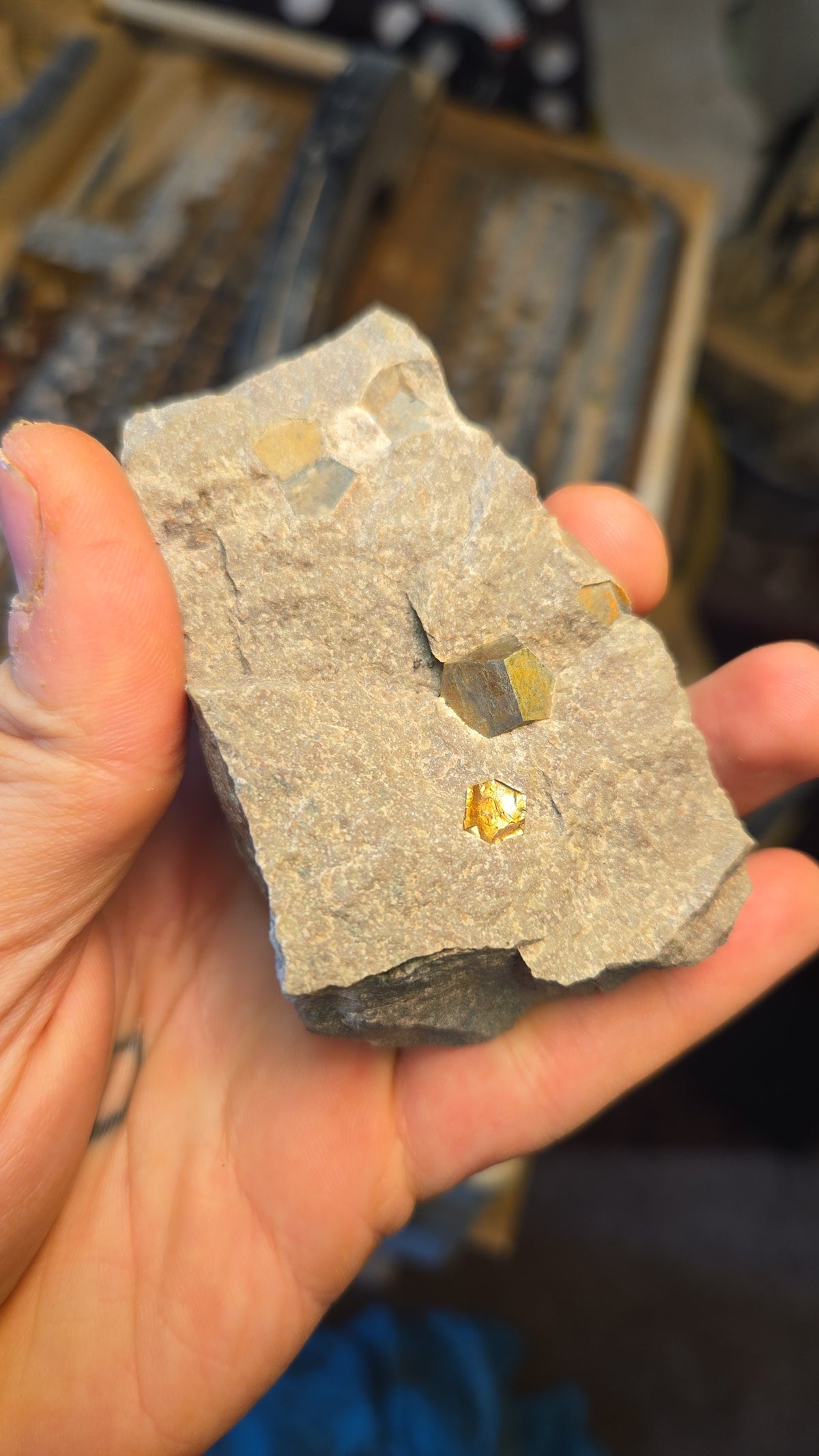 Pyrite in Matrix Stone Mineral Specimen