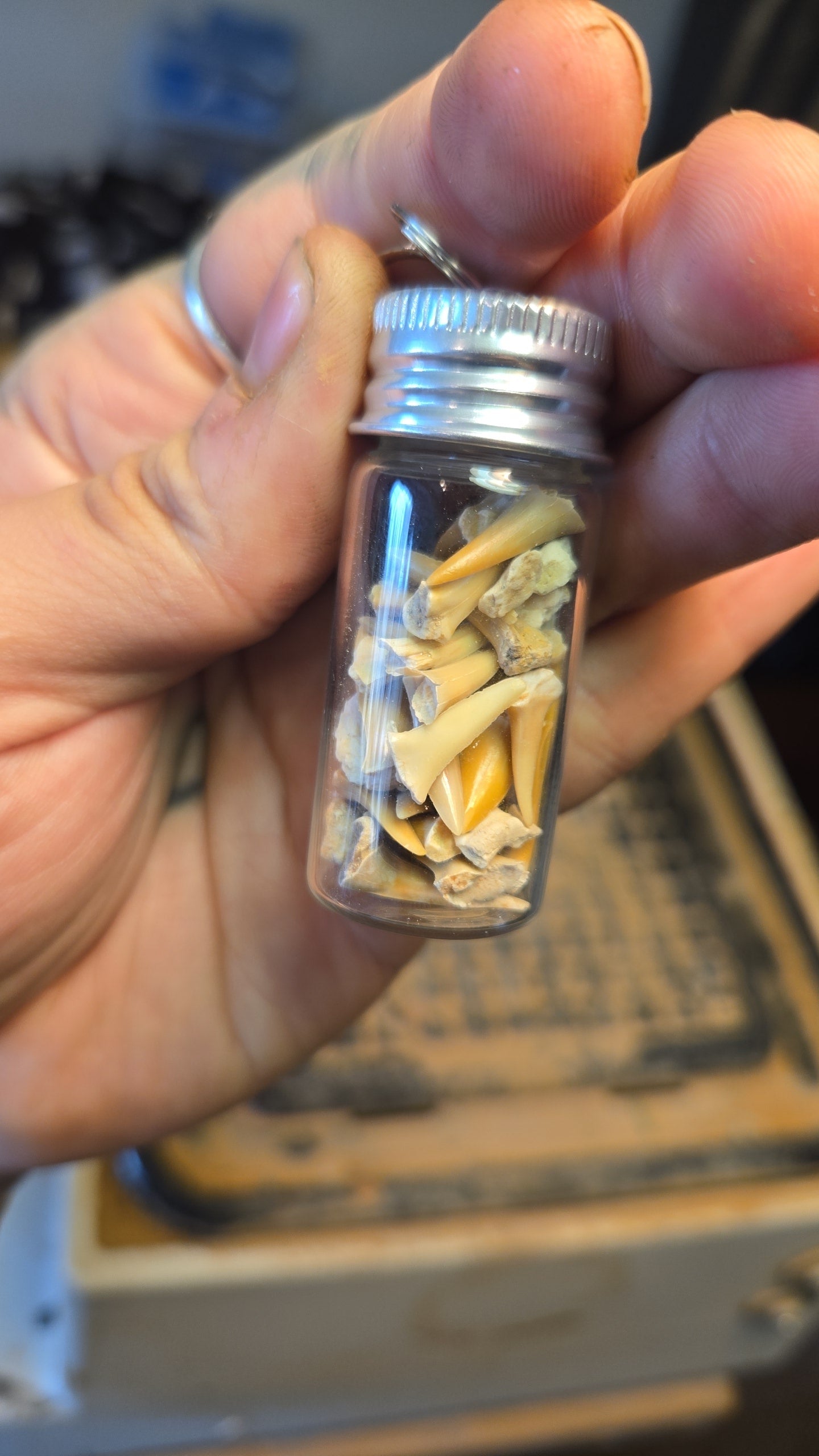Shark Teeth Glass Bottle Keychain