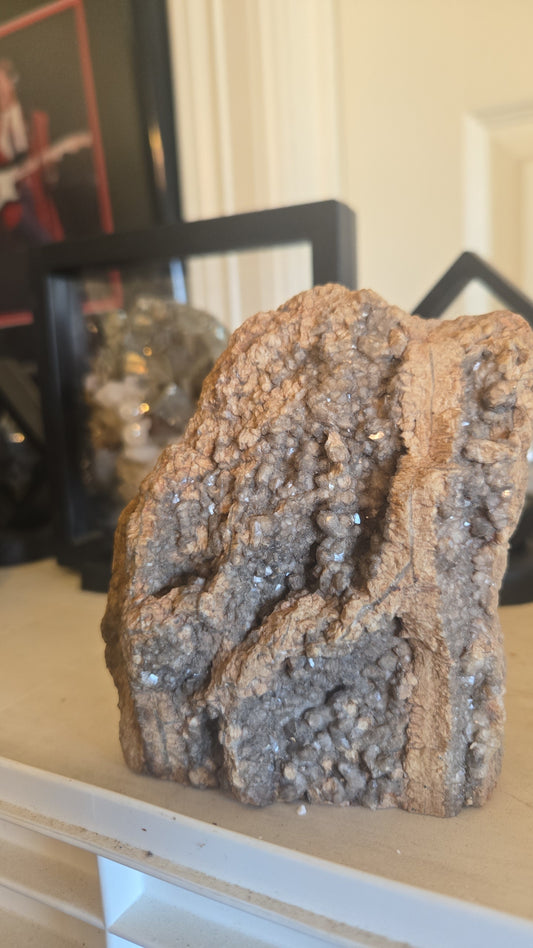 Fossilized Wood with Quartz Clusters
